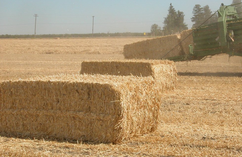 1715252_paquete_grande