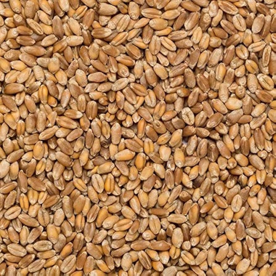 61ghjjEBp9L._AC_UF894,1000_QL80_